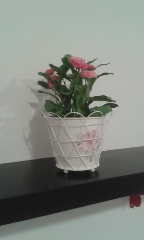 Apartamento Calle Goles Sevilla Rum bild